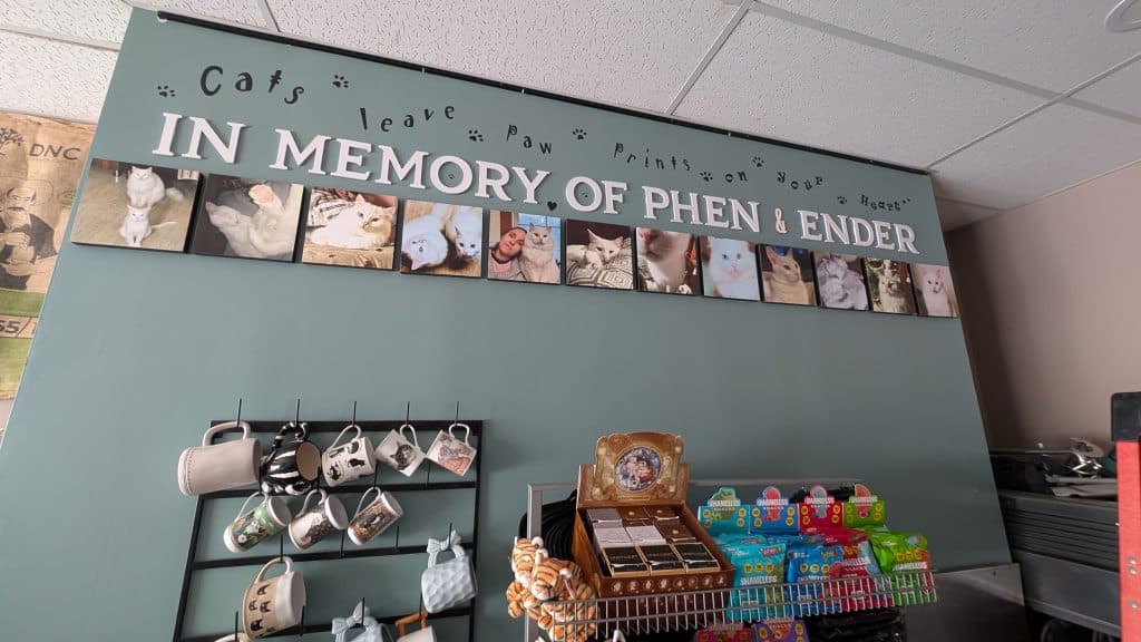 In memory of Phen and Ender.